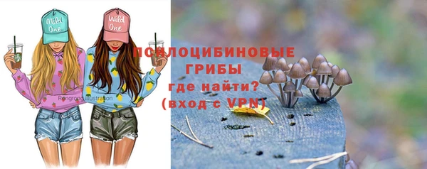 таблы Лиски