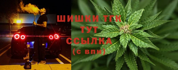 таблы Лиски