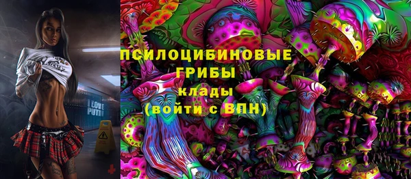 таблы Лиски